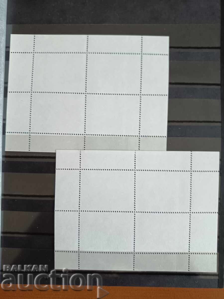 Delivery of Souvenir block International Polar Year of No. 4816 from 2008