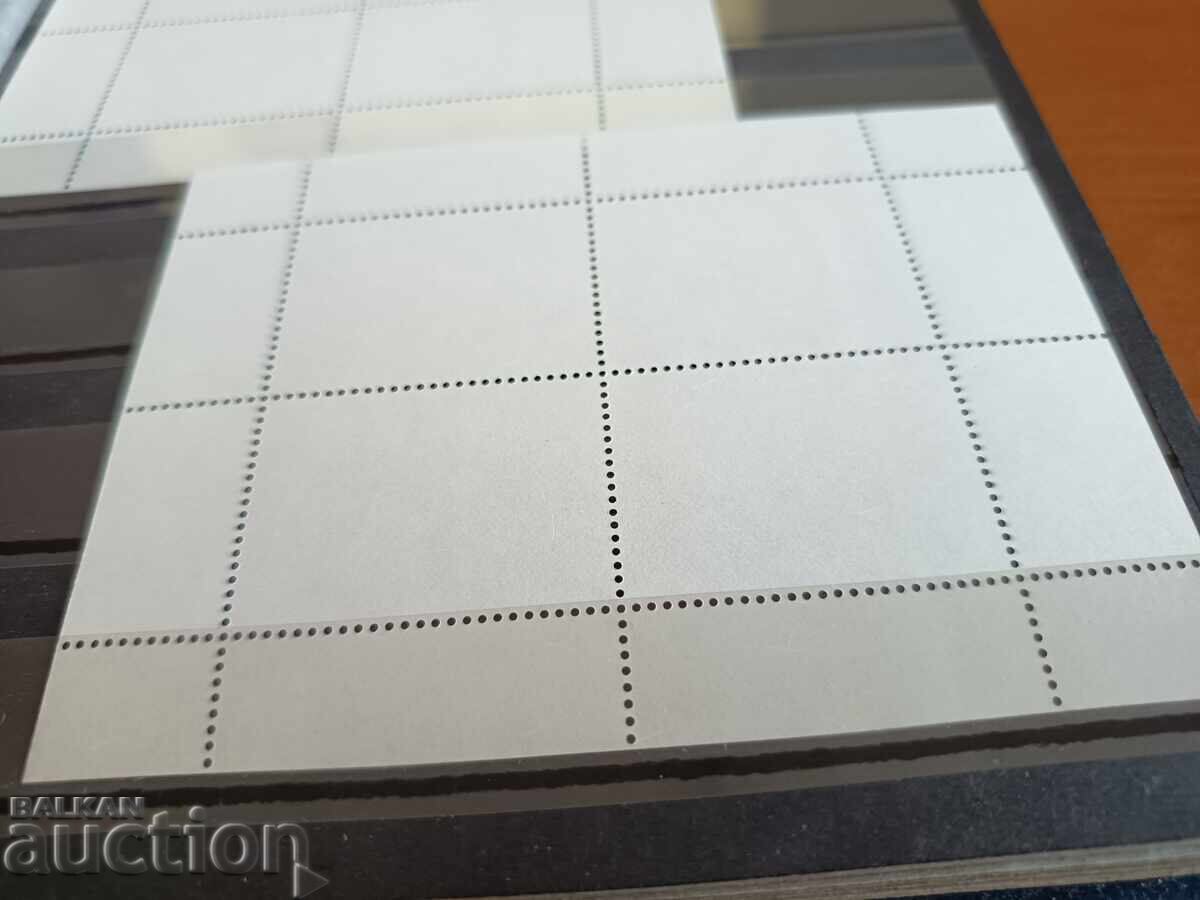 Souvenir block International Polar Year of No. 4816 from 2008 - 5