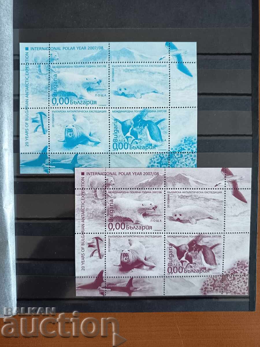 Souvenir block International Polar Year of No. 4816 from 2008