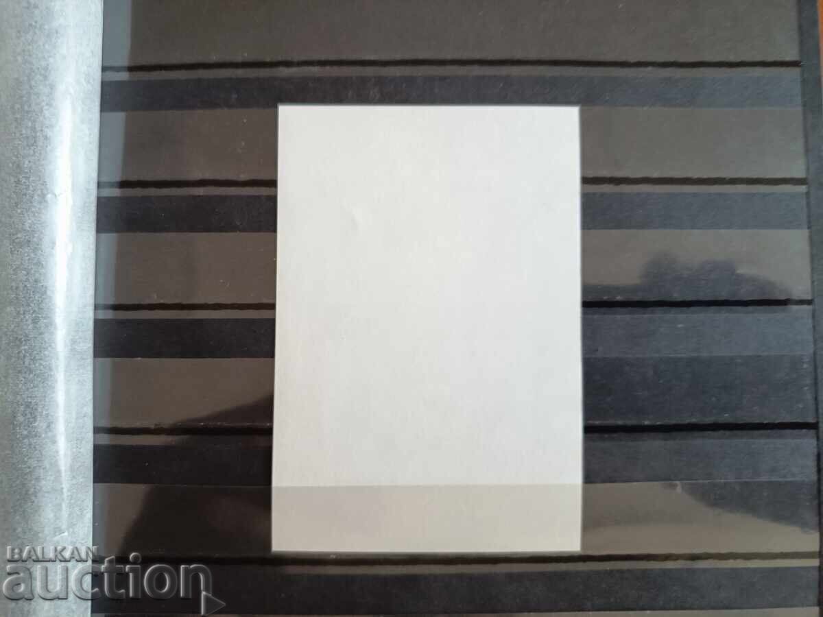 Auction Souvenir block "Polar Explorers" on No. 5216 from 2015 Auction Souvenir block "Polar Explorers" on No. 5216 from 2015