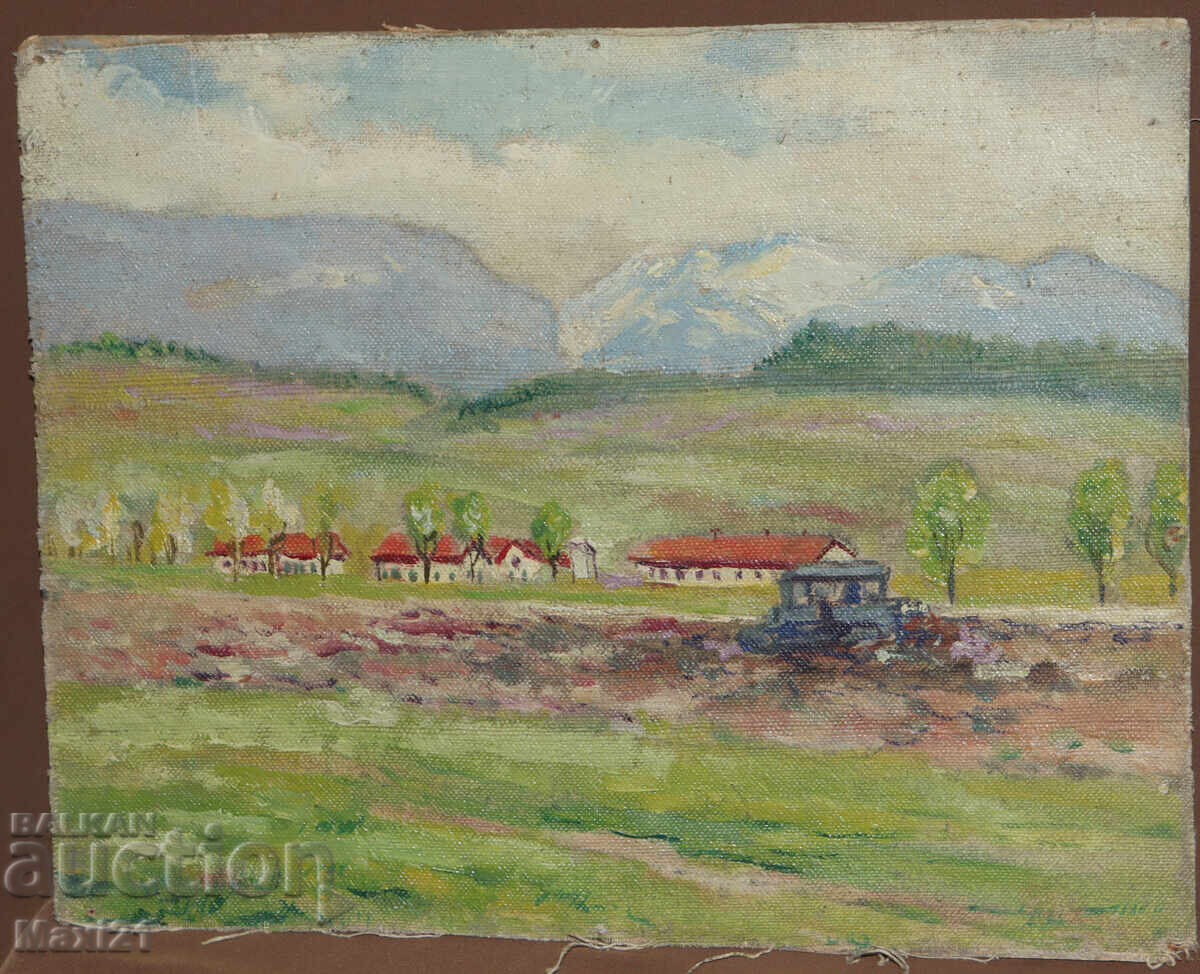 Peisaj rural, tablou vechi, ulei cu preț 240.00 BGN | € 122.71