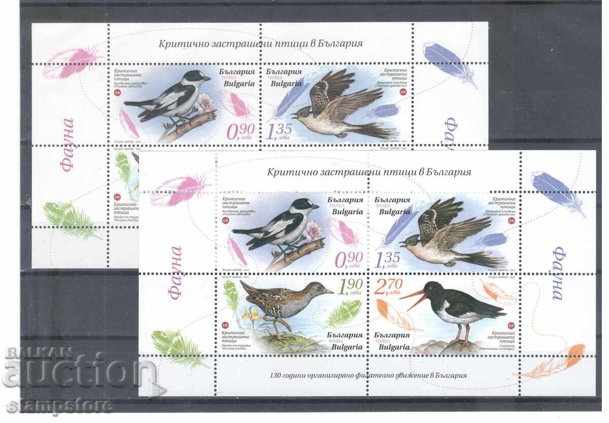 Critically endangered birds in Bulgaria - 2 blocks Critically endangered birds in Bulgaria - 2 blocks