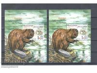 Fauna - The Return of the Beaver