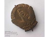 Badge of the First National Review of Sandruzhiini (a type of youth organization)