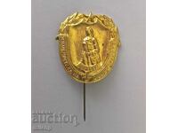 Badge of the Third National Review of Sandruzhiini (Sandruzhiini is likely a specific type of organization or group)