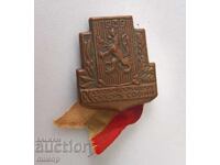 Badge IX Youth Gathering 1939