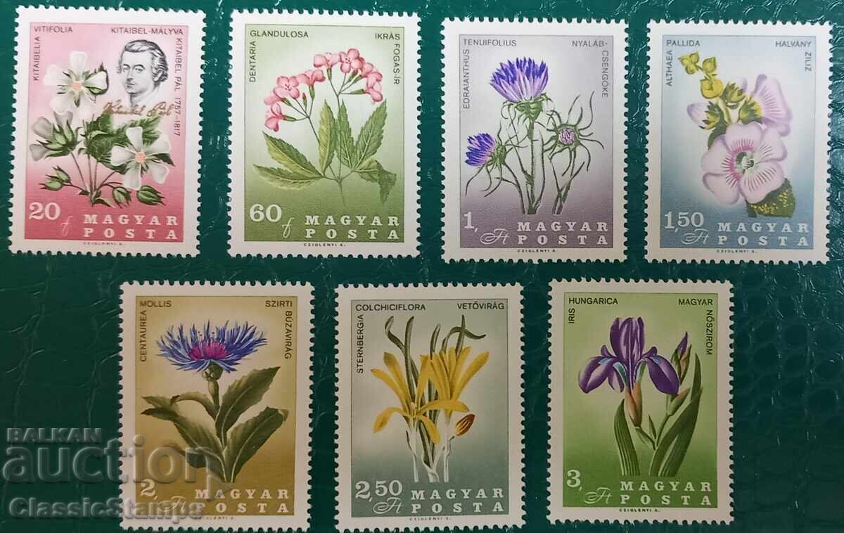 Καθαρή σειρά Ουγγαρίας 1967