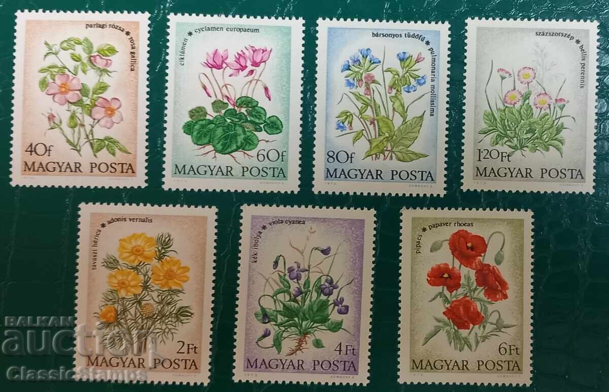 Καθαρή σειρά Ουγγαρίας 1973