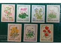 Καθαρή σειρά Ουγγαρίας 1973