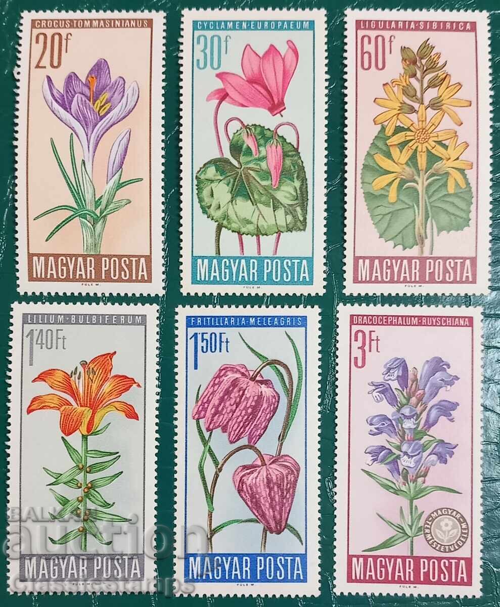 Καθαρή σειρά Ουγγαρίας 1966 Καθαρή σειρά Ουγγαρίας 1966