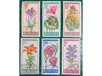 Καθαρή σειρά Ουγγαρίας 1966