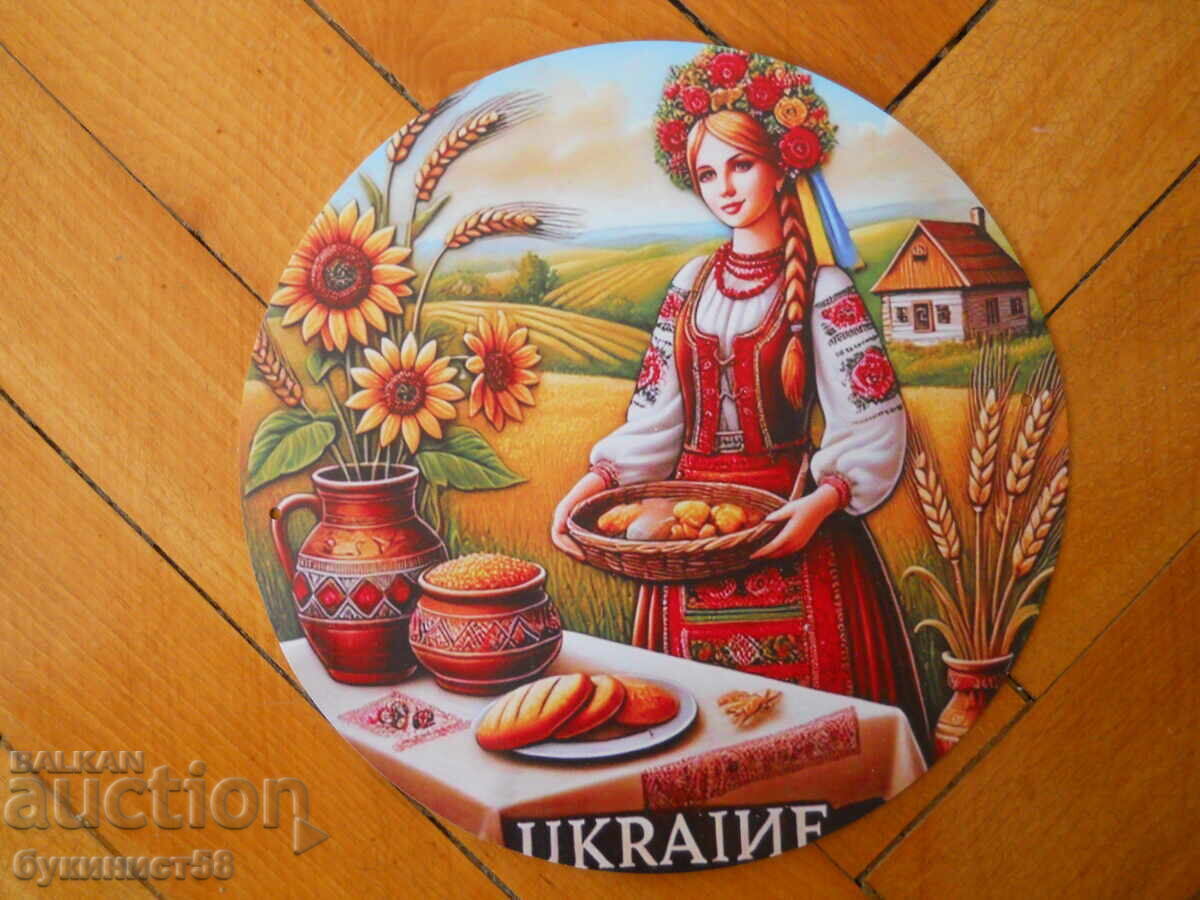 Tin panel Ukraine