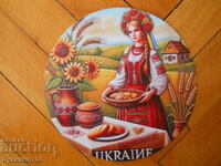 Tin panel Ukraine