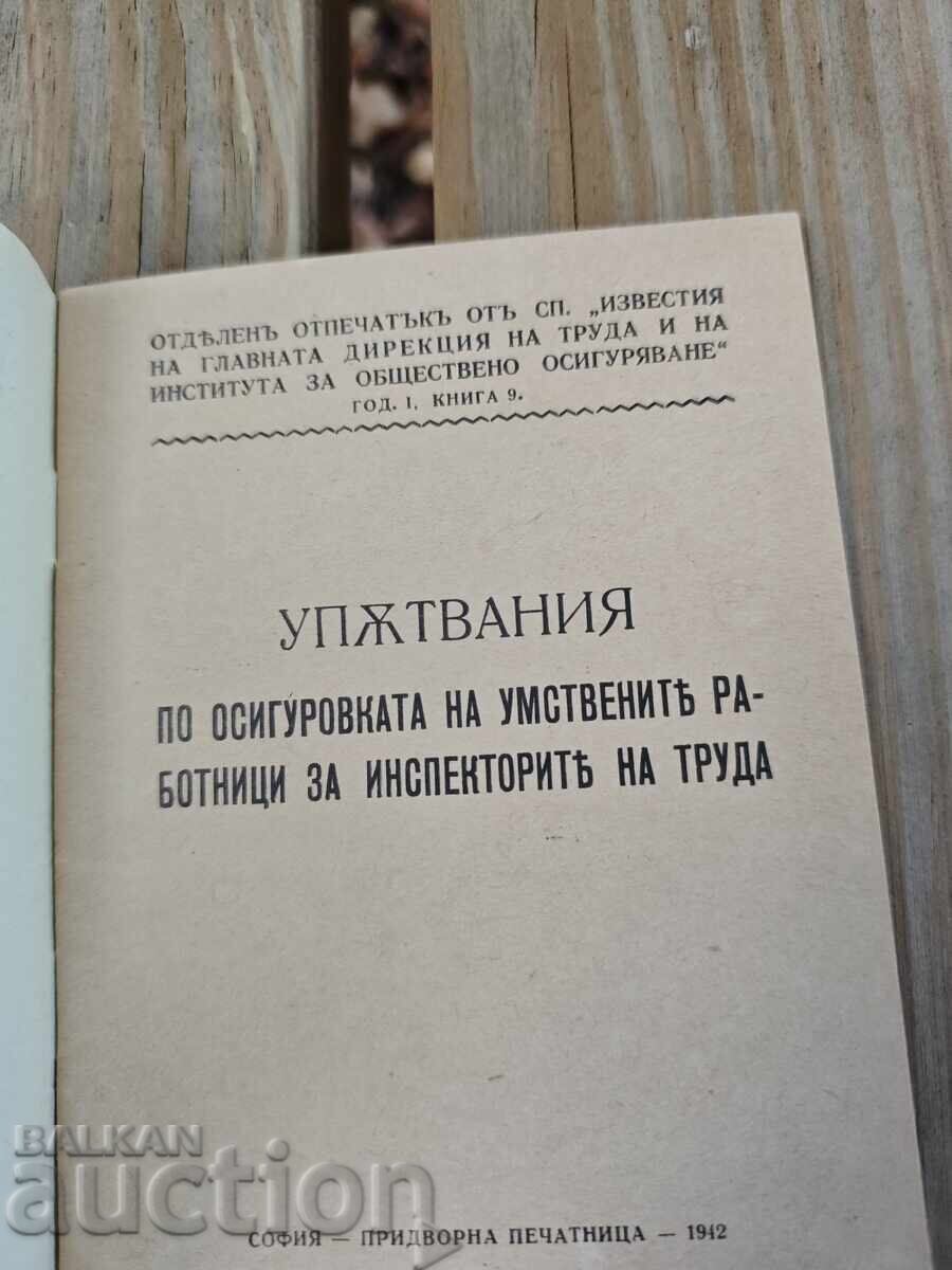 Guidance on the insurance of intellectual workers for inspection with price 100.00 BGN | € 51.13