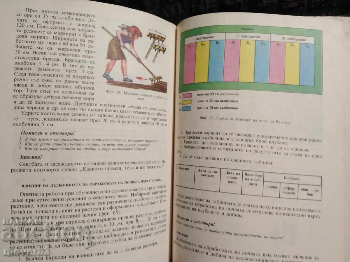Social Labor, Polytechnic Education 4th Grade. 1988 Year - 5 Social Labor, Polytechnic Education 4th Grade. 1988 Year - 5