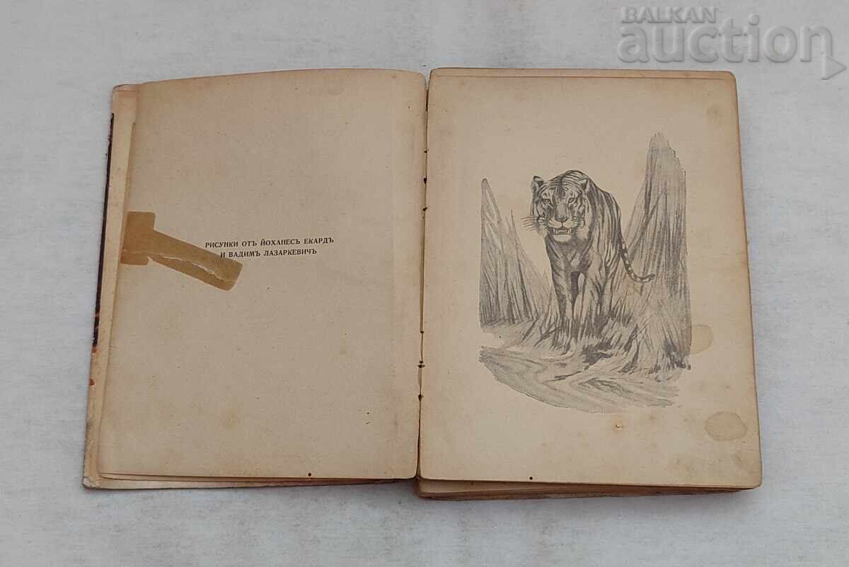 КНИГА ЗА ДЖУНГЛИТЕ Р. КИПЛИНГ 1927 г. с цена 12.00 лв. | € 6.14 КНИГА ЗА ДЖУНГЛИТЕ Р. КИПЛИНГ 1927 г. с цена 12.00 лв. | € 6.14