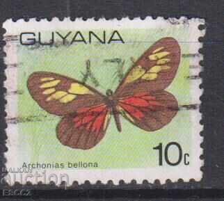 Stamped Fauna Butterfly 1978 from Guyana Stamped Fauna Butterfly 1978 from Guyana