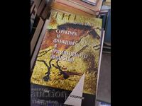 Structură și funcție în societatea primitivă A. Radcliffe-Brown