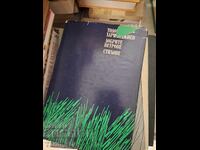 Versuri de vânt bun