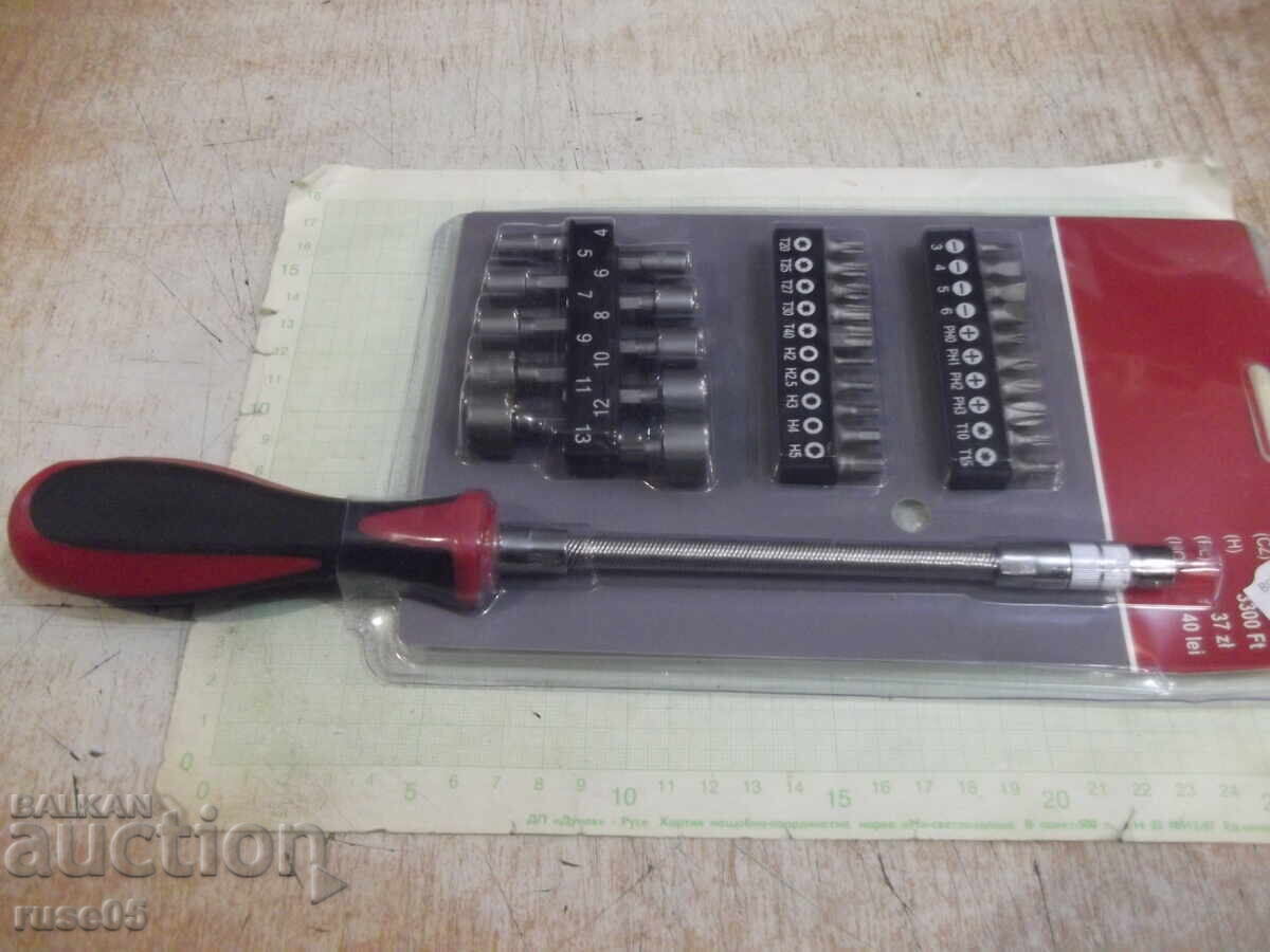 Δημοπρασία Κατσαβίδι εύκαμπτο και σετ μύτες 31 τεμαχίων καινούργιο