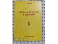 D. Baliozov: Creșterea puilor de carne în curtea personală