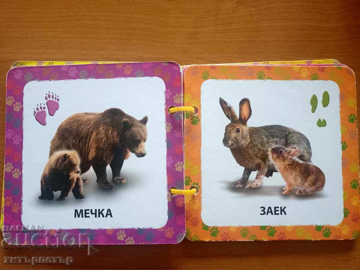 Children's Book Animals in the Forest with price 0.01 BGN | € 0.01