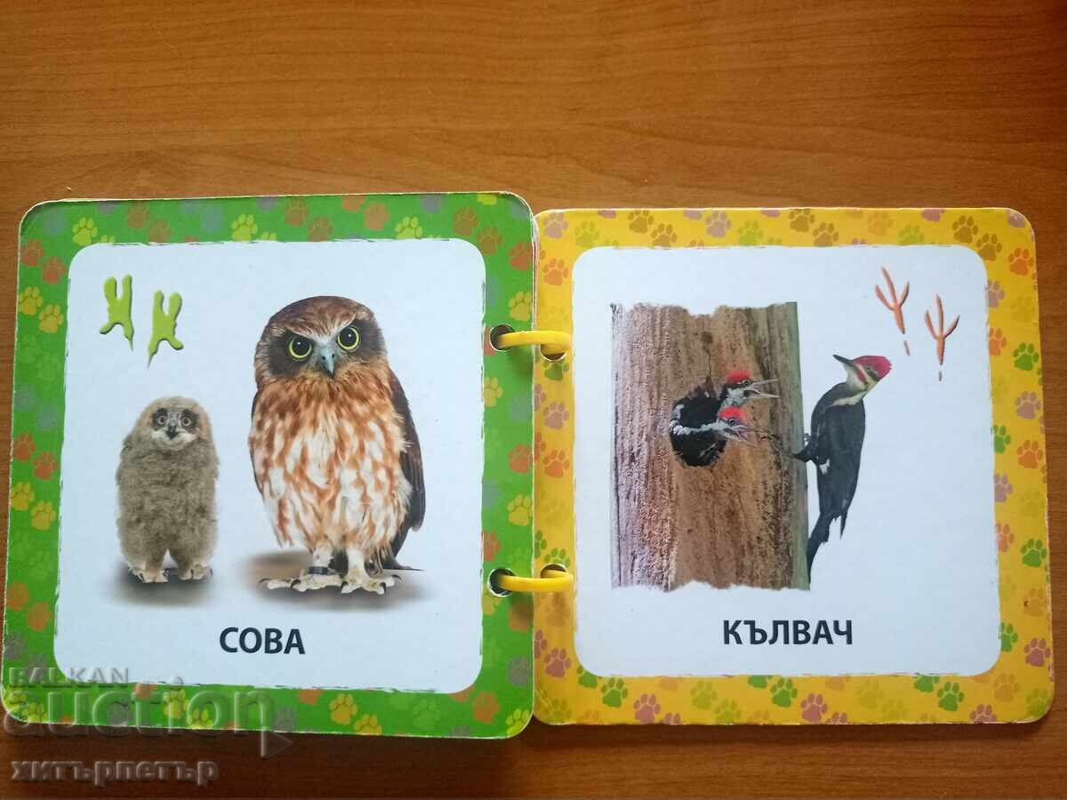 Auction  Children's Book Animals in the Forest