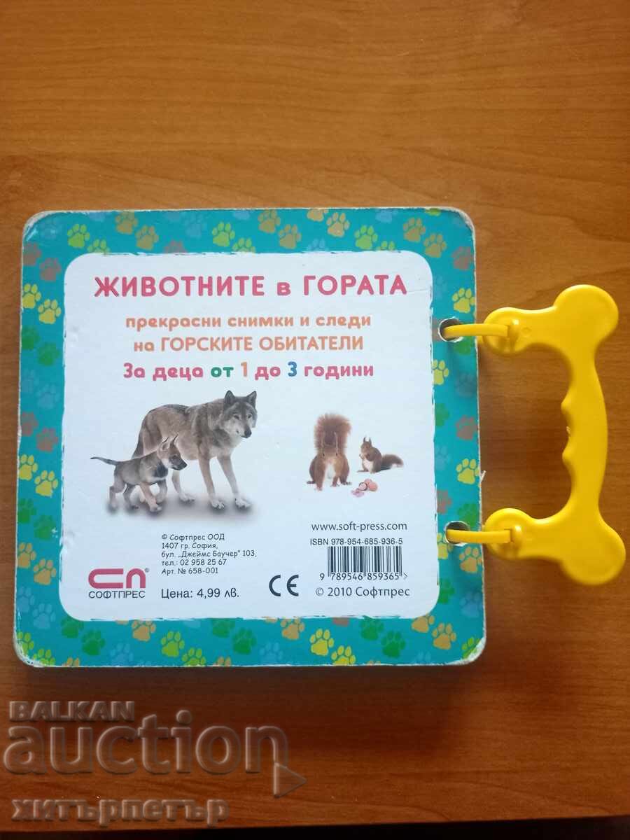 Delivery of Children's Book Animals in the Forest