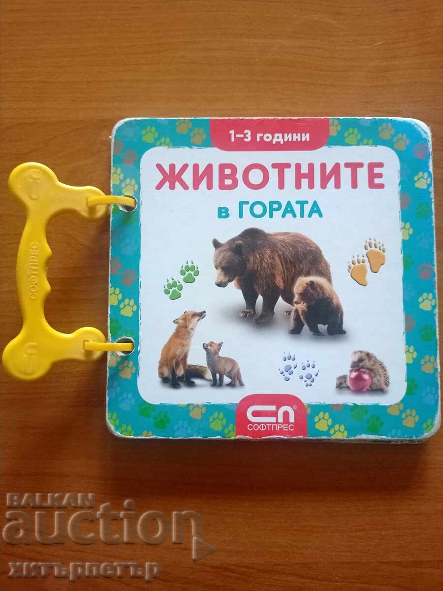 Children's Book Animals in the Forest