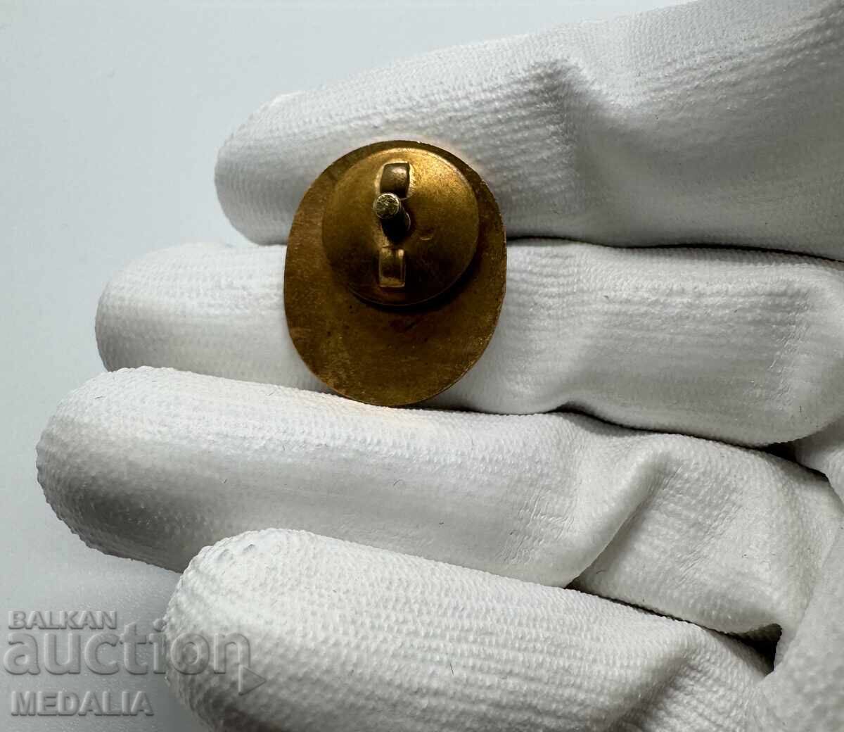 Licitație Rar semn social email - Excelent al CEC - pe șurub Licitație Rar semn social email - Excelent al CEC - pe șurub