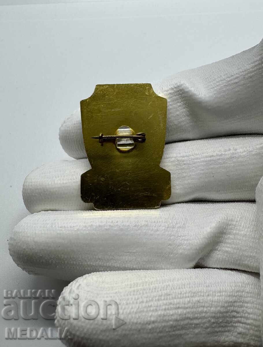 Auction  Rare Social Sign - SMU - Dzerzhinsky - Ministry of Interior