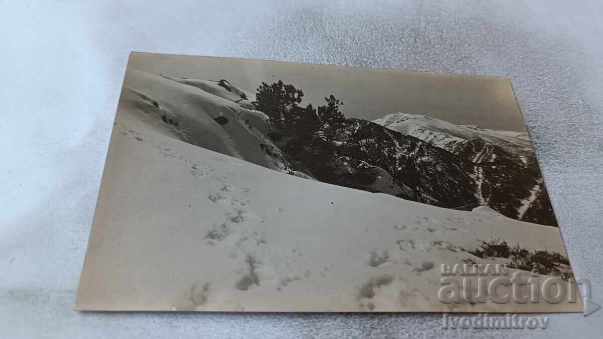 Φωτογραφία Ρίλας, θέα από την κορυφή Όρλοβι Σκαλί Φωτογραφία Ρίλας, θέα από την κορυφή Όρλοβι Σκαλί