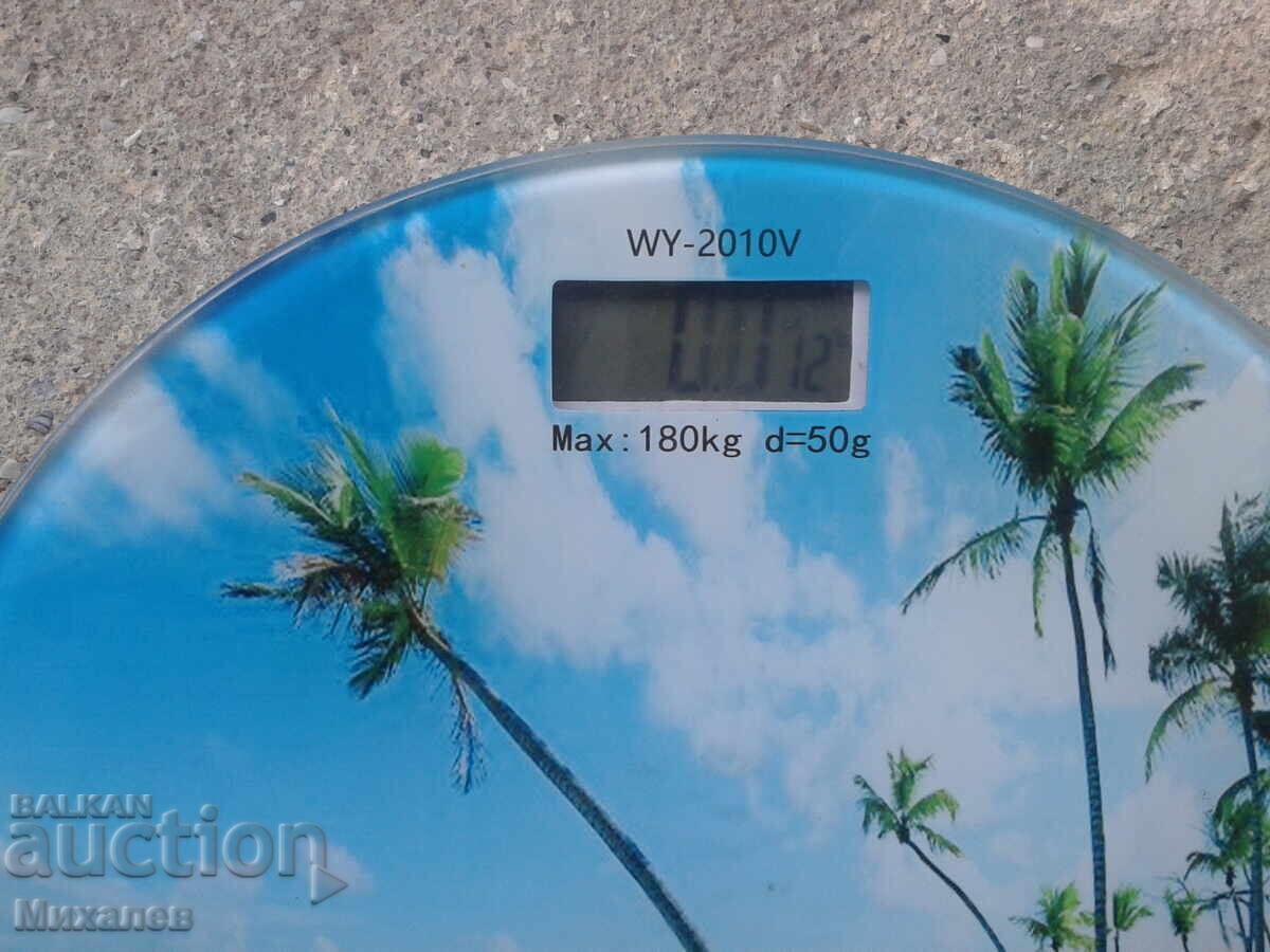 Electronic Scale with price 0.01 BGN | € 0.01 Electronic Scale with price 0.01 BGN | € 0.01