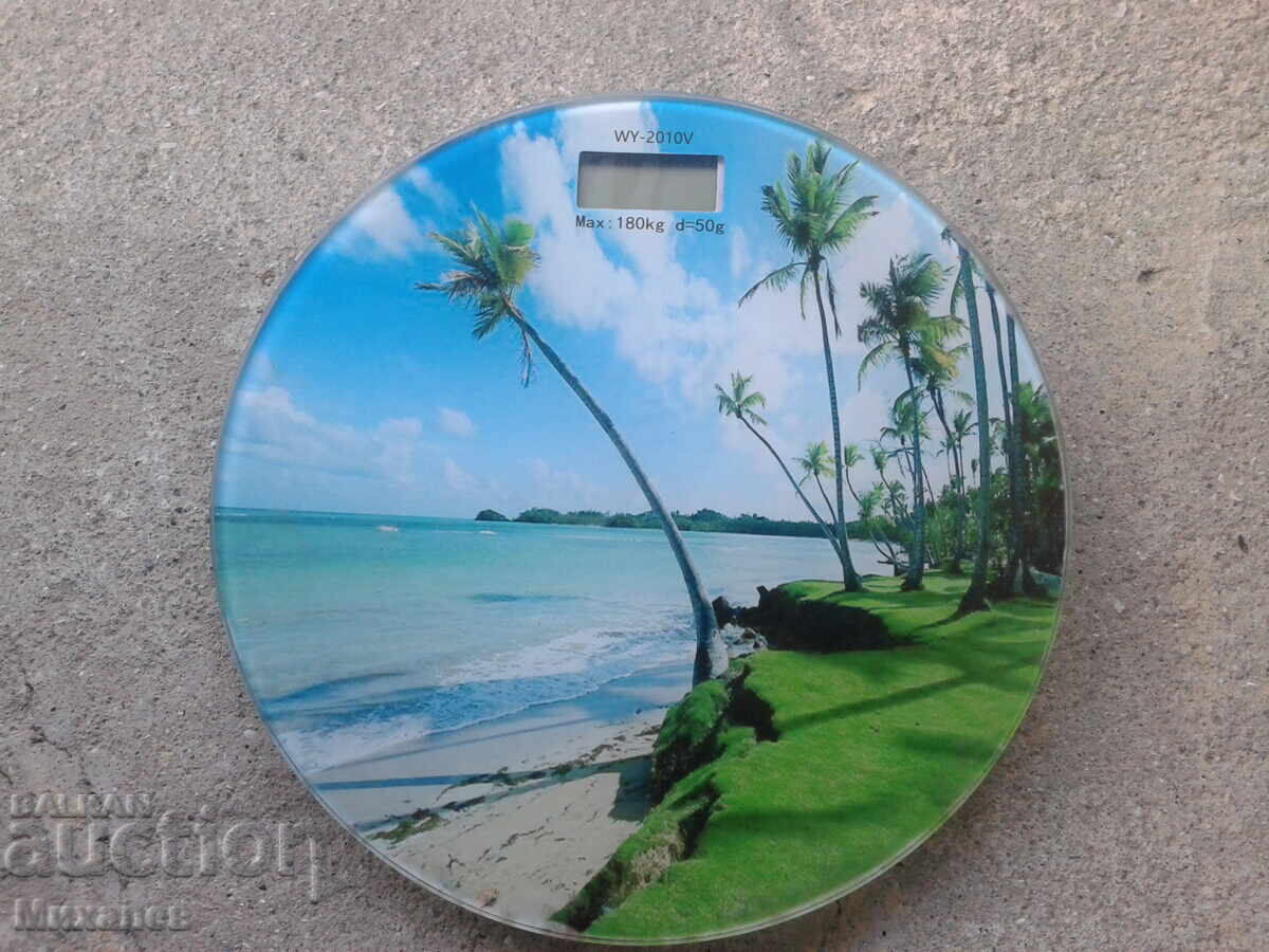 Electronic Scale Electronic Scale