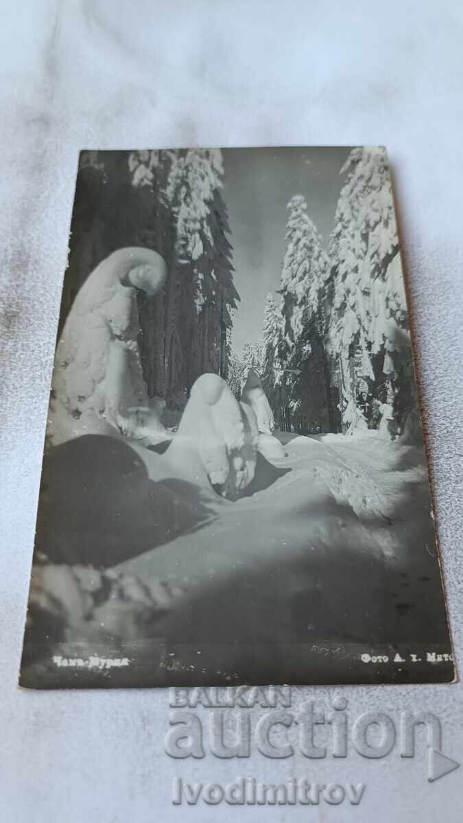 Ταχυδρομική κάρτα Τσαμ-Κούρια φωτογραφία Α. Χ. Μίτοφ Ταχυδρομική κάρτα Τσαμ-Κούρια φωτογραφία Α. Χ. Μίτοφ