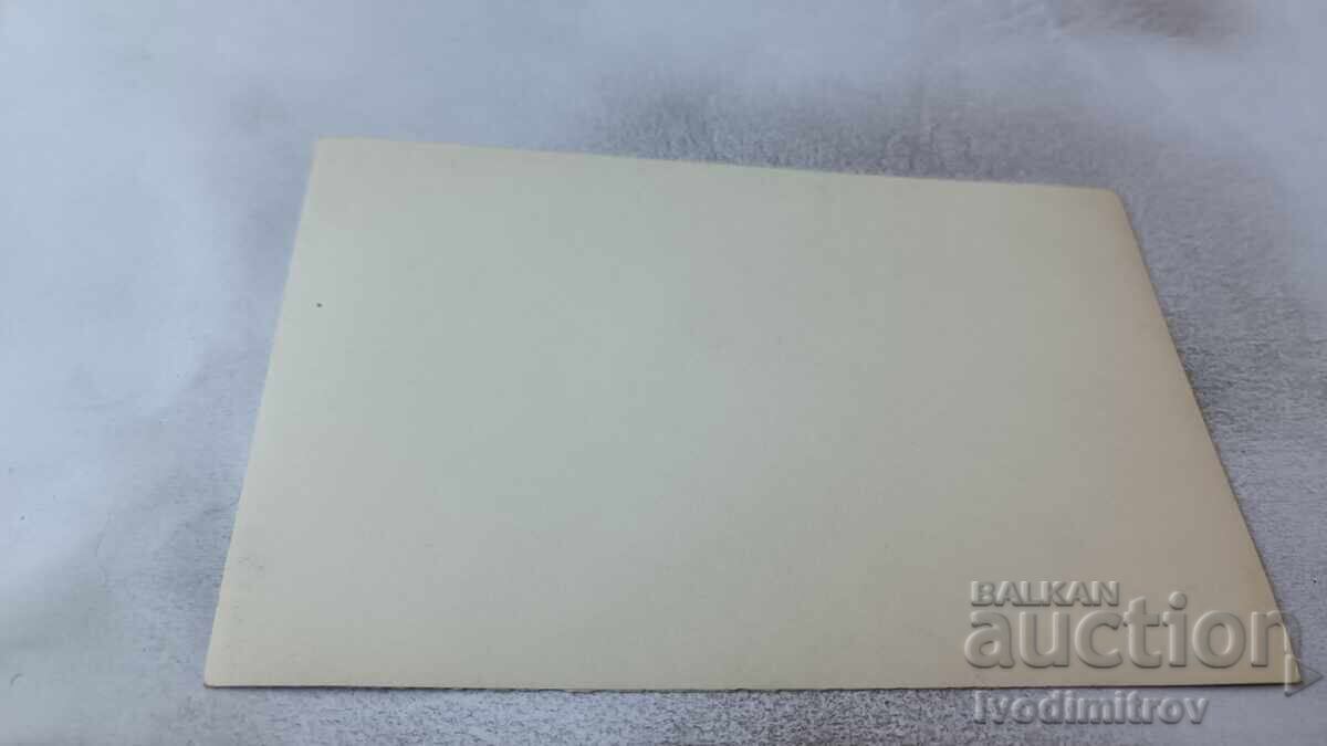 Postcard Chamkoria photo A. H. Mitov with price 27.00 BGN | € 13.80 Postcard Chamkoria photo A. H. Mitov with price 27.00 BGN | € 13.80