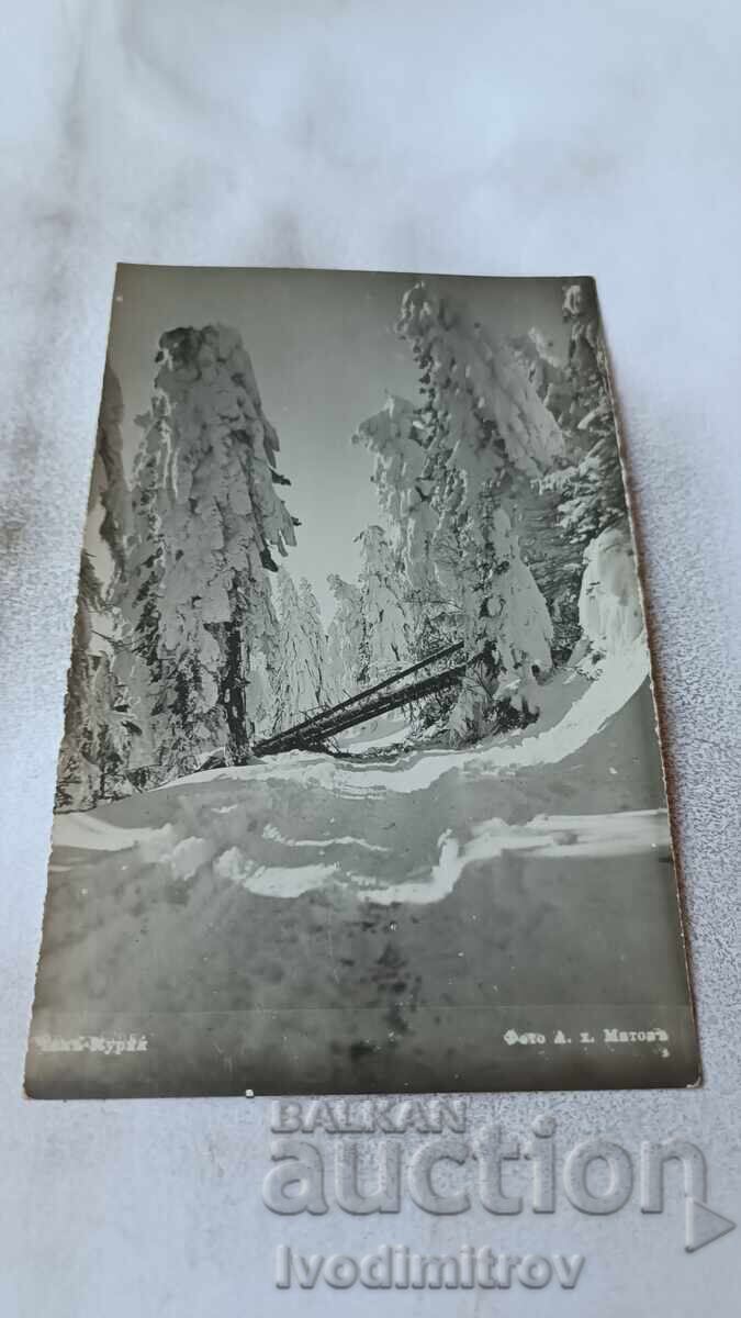 Postcard Chamkoria photo A. H. Mitov Postcard Chamkoria photo A. H. Mitov