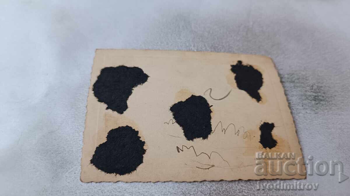 Φωτογραφία Στρατιωτών σε Λιβάδι με τιμή 2.35 BGN | € 1.20 Φωτογραφία Στρατιωτών σε Λιβάδι με τιμή 2.35 BGN | € 1.20