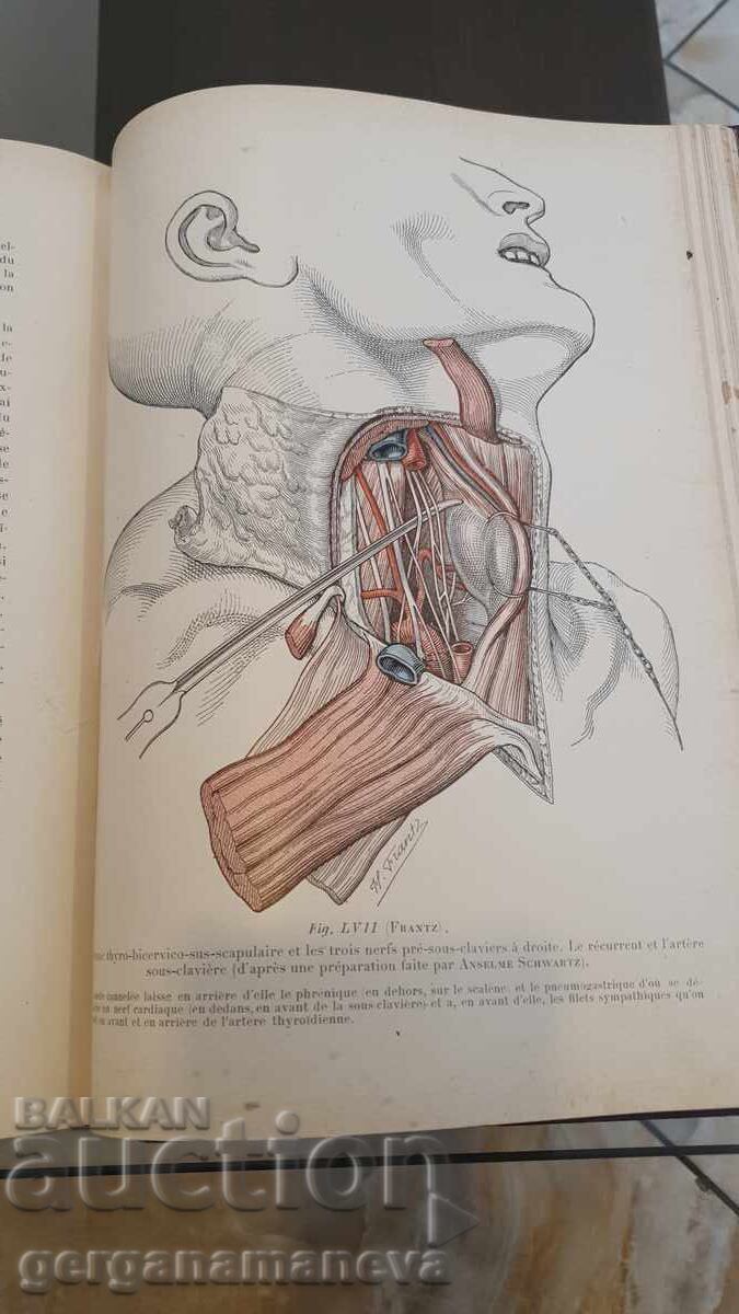 Old French medical textbook, 1924 - 5