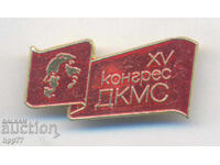 Rare Badge 15th Congress of the Komsomol