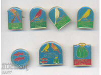 7 rare signs Society EXOTICA Sofia