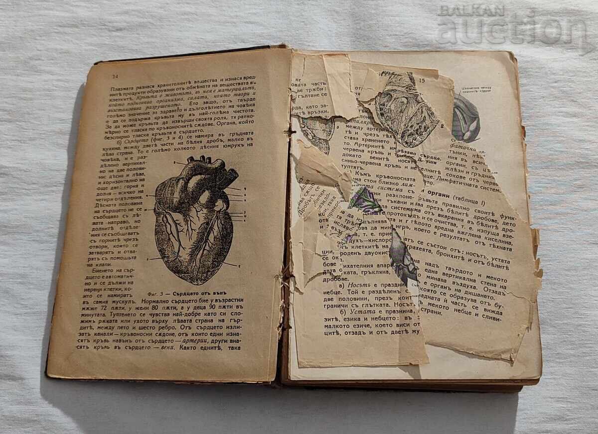 P. Dimkov's Handbook of Natural Healing and Living, 1935 with price 160.00 BGN | € 81.81