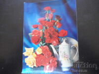 Παλιά στερεοσκοπική κάρτα, Wien