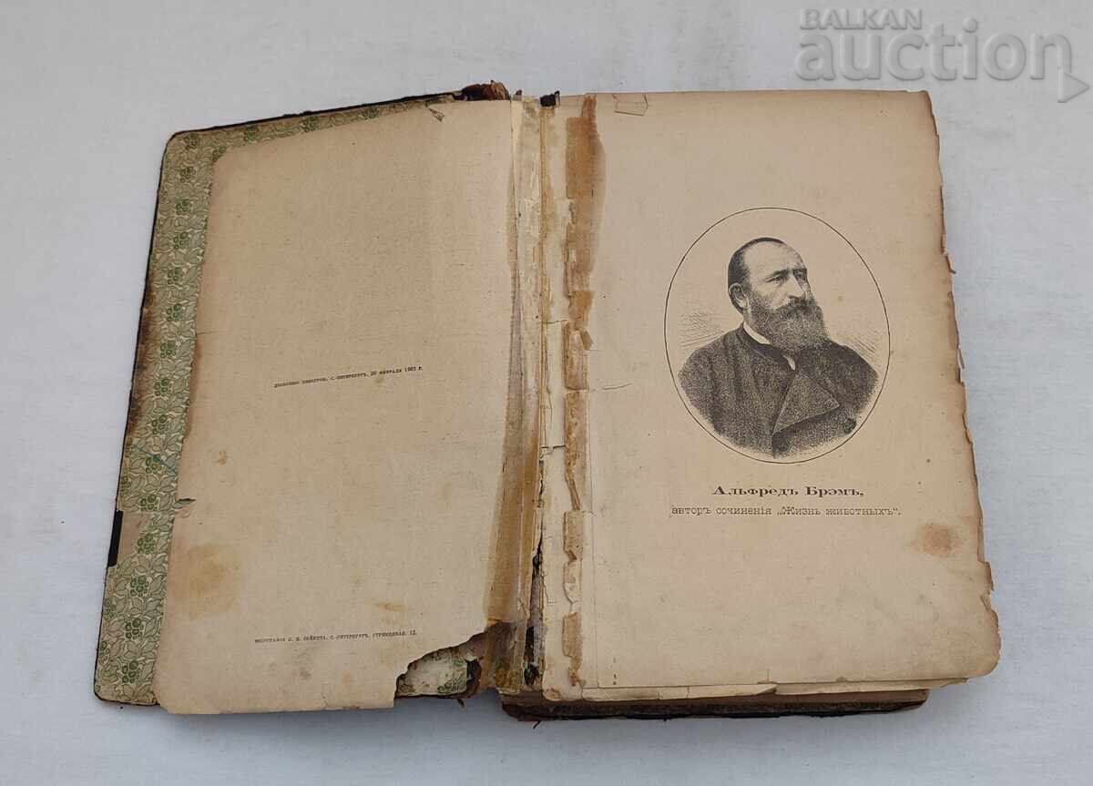 ANIMALS' LIFE A.E. BREHM 1902 St. Petersburg Vol. 1 with price 40.00 BGN | € 20.45
