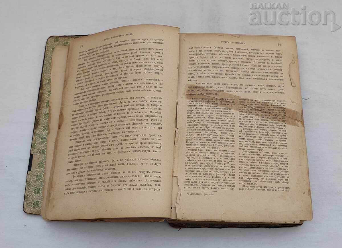 Auction  ANIMALS' LIFE A.E. BREHM 1902 St. Petersburg Vol. 1