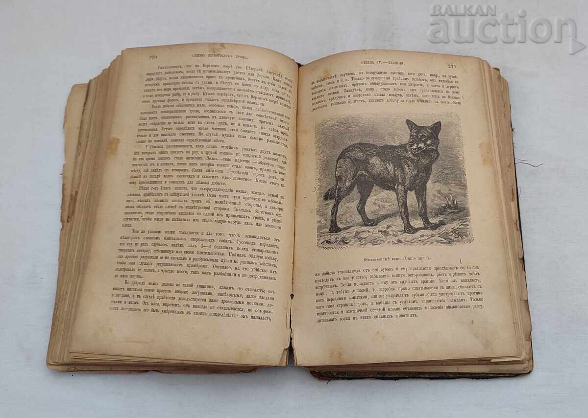 Delivery of ANIMALS' LIFE A.E. BREHM 1902 St. Petersburg Vol. 1