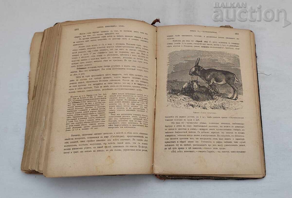 ЖИЗНЬ ЖИВОТНЫХЪ А.Э. БРЭМ 1902 г. ПЕТЕРБУРГ ТОМ. 1 - 5