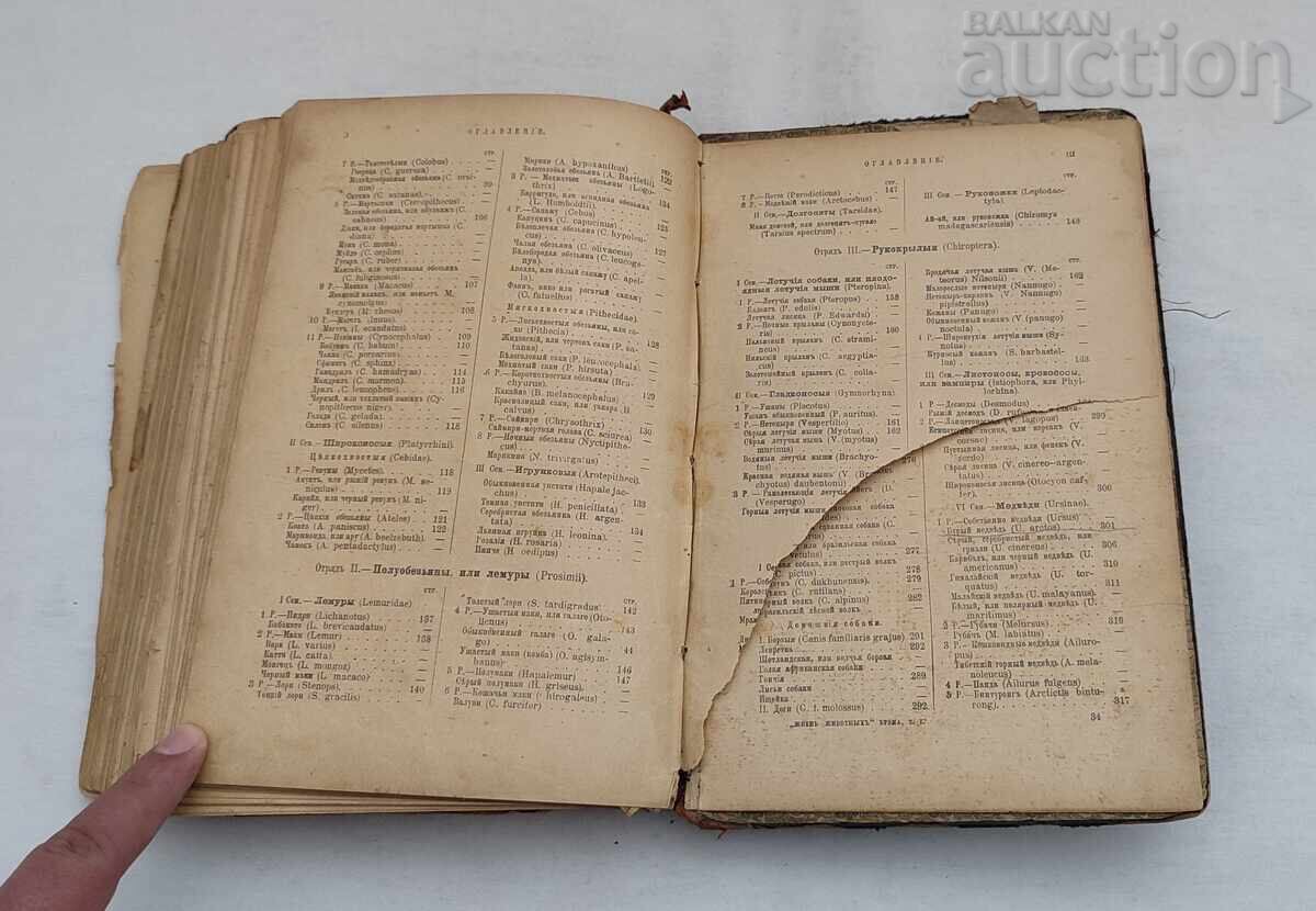 ANIMALS' LIFE A.E. BREHM 1902 St. Petersburg Vol. 1 - 6