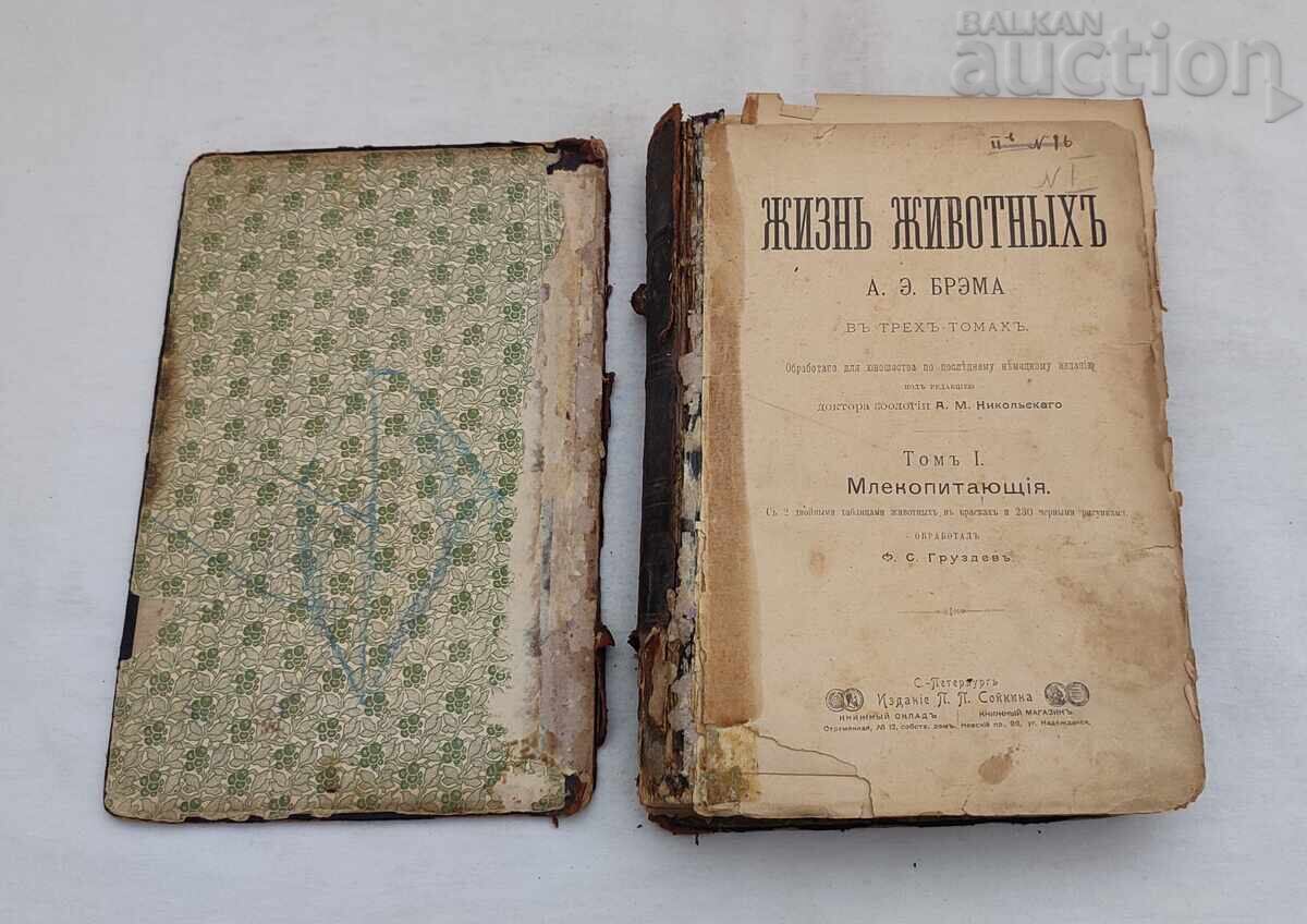 ЖИЗНЬ ЖИВОТНЫХЪ А.Э. БРЭМ 1902 г. ПЕТЕРБУРГ ТОМ. 1