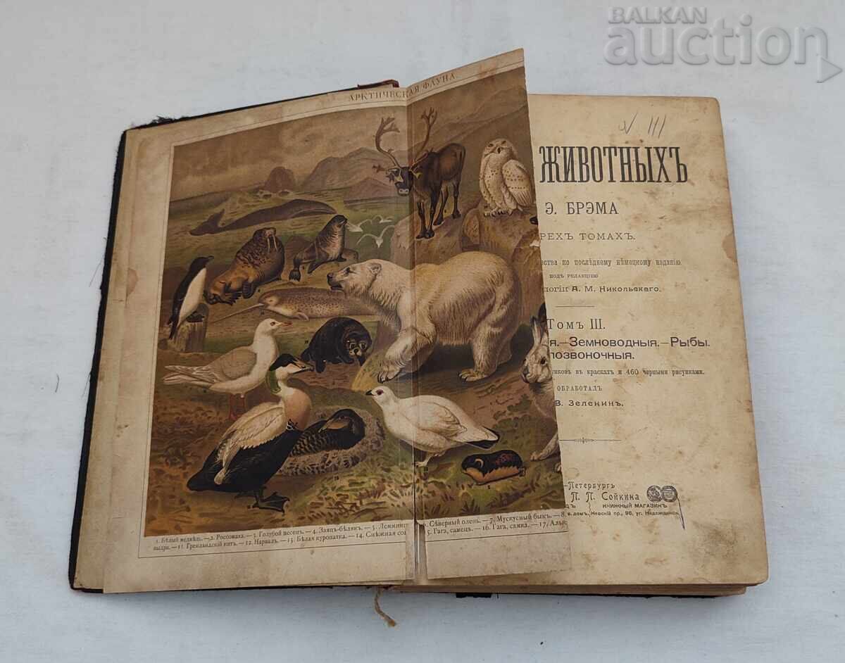 ANIMALS' LIFE A.E. BREHM 1902 St. Petersburg Vol. 3 with price 55.00 BGN | € 28.12